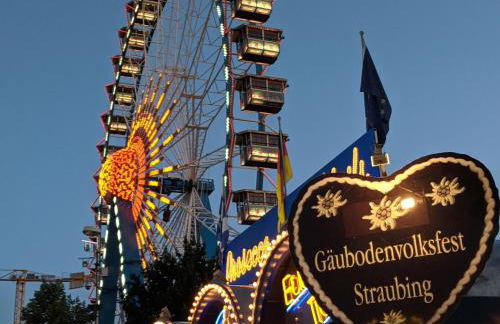 Altstadtloft Straubing - Foto 21