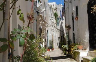 Agriturismo Salinola - Foto 158