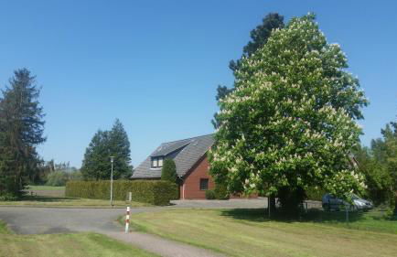 Seefelder Urlaubsparadies - Photo 18