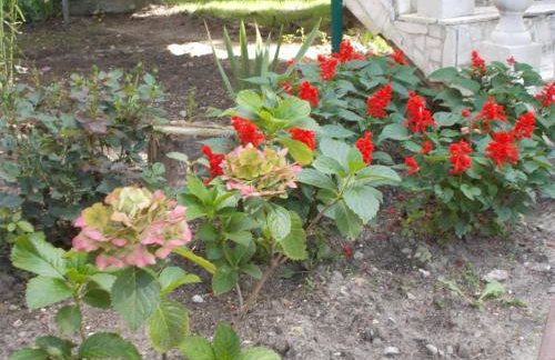 Apartamenty Nad Wisłą - Foto 30