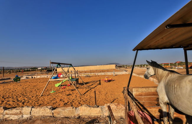 Bio et Bois - Foto 76