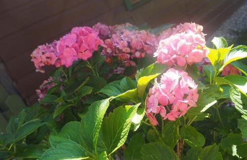 Ferienhütte in Ruhpolding - Foto 17