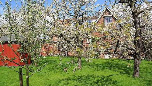 Knubberhaus Das Ferienhaus im Kirs - Photo 4