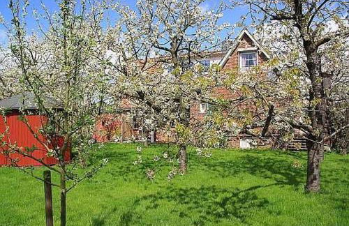Knubberhaus Das Ferienhaus im Kirs - Photo 4