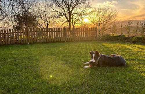 Casa O Corvo, chalet cerca de Vigo en plena naturaleza - Photo 31