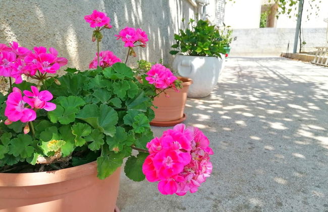 Holiday Home Blue Dream - Foto 17