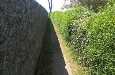 Gîte à 50m de la mer par chemin piétonnier ! - Foto 8