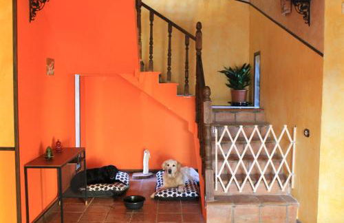 Casa Rural Baobab - Foto 26