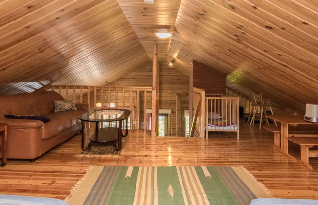 Pajulintu - Photo 22