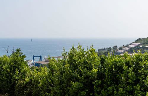 Apartment Galatea by Interhome - Foto 39