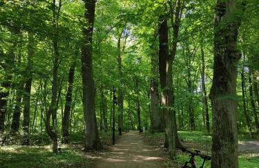 Slow River Apartment - Foto 22