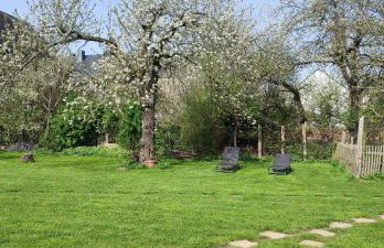 Landhof Lieg - Tierische Auszeit in unseren gemütlichen Ferienwohnungen - Foto 28