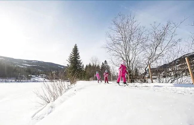 Topcamp Hallingdal - Ål - Photo 50