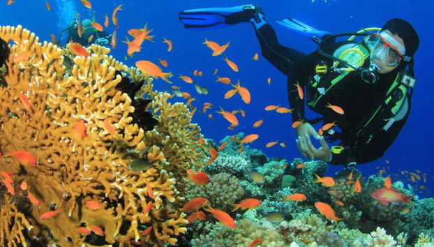 Nilaveli Fun Diving for Certified Divers - Foto 5