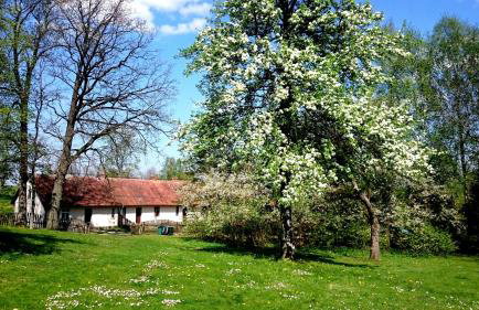 Dworek Szarki - Foto 9