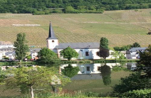 Ferienwohnung Moselblick - Foto 30