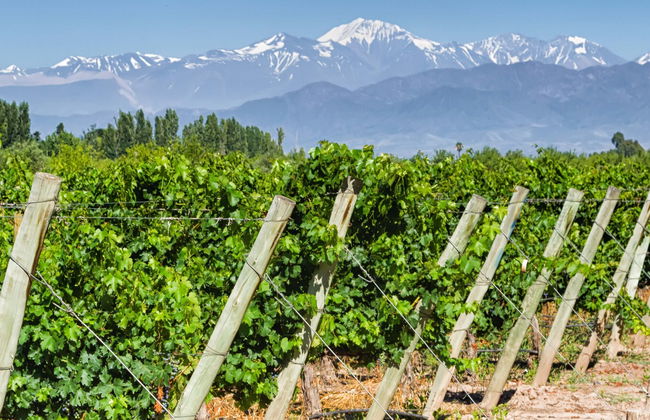 Tour privato delle cantine di Maipú - Foto 1