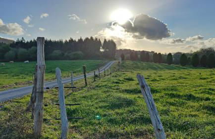 O meo refuxio - Foto 13