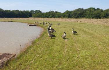 Home Farm Park - Foto 31