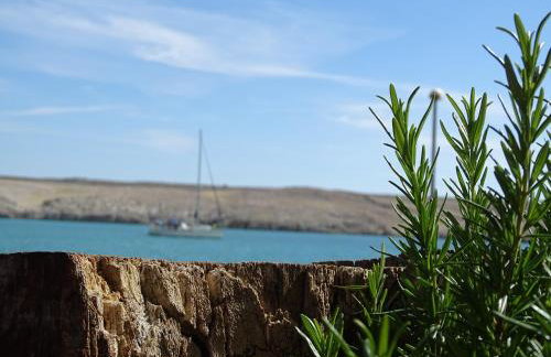 Apartments Šime - Foto 29