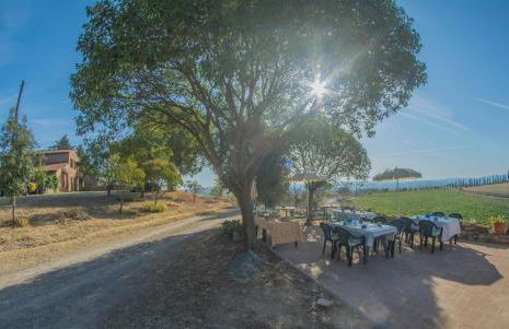 Agriturismo La Ripolina - Foto 58