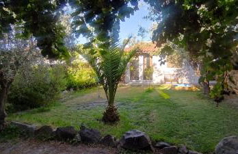 Solar Verbena - Foto 6