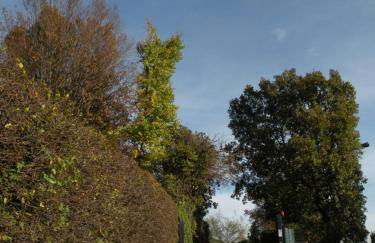 Agriturismo Castagna Amara - Photo 69