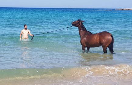 Stamna Farm - Foto 17