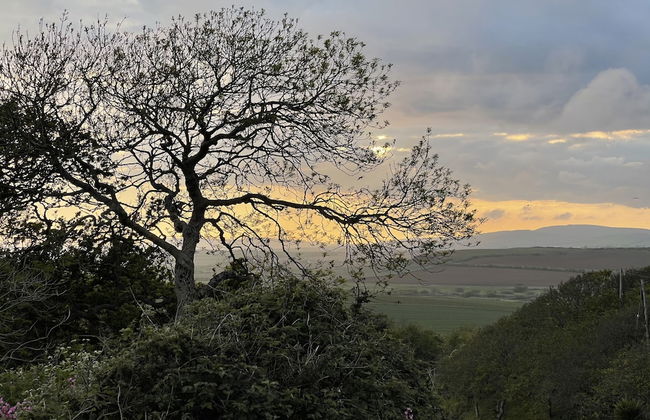 Surf Shack, 1-bed Cottage, Sleeps 2, Pet Friendly - Foto 16