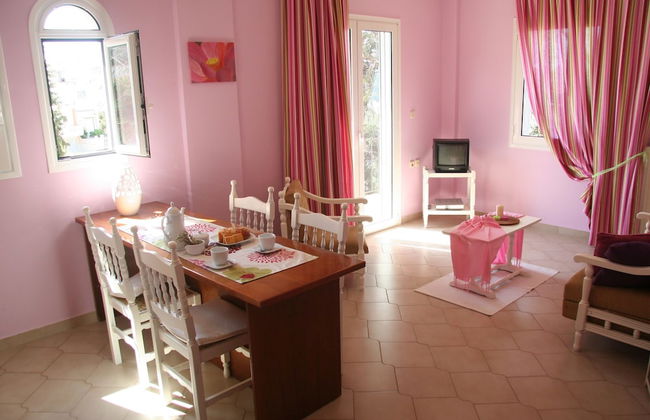 Water Lily - Foto 12