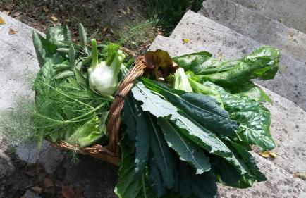 Agriturismo Villa Cheti - Foto 87