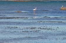 Beachfront Apartment La Manga - Foto 66