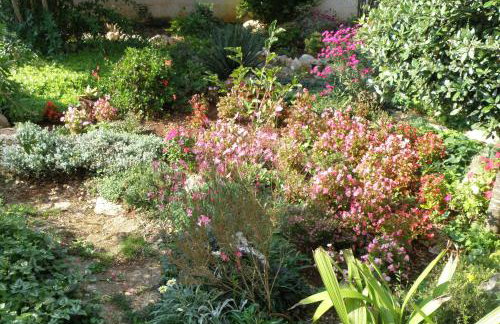 Apartments by the sea Ugljan - 8468 - Foto 8