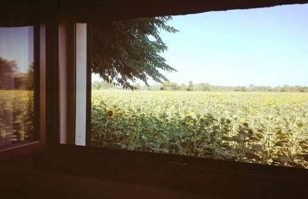 Silos Torrenova - Foto 66