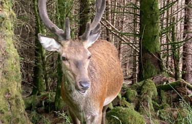 Thistle Do Fort William - Foto 25