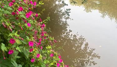 Studio St Florentin - Foto 3