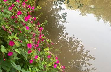 Studio St Florentin - Foto 3