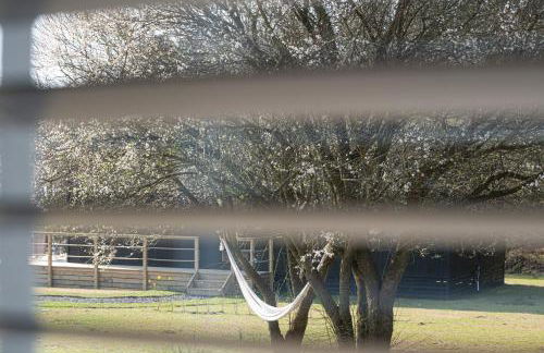 Galwad y Môr - Foto 26