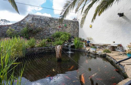 The Cedars - Foto 16