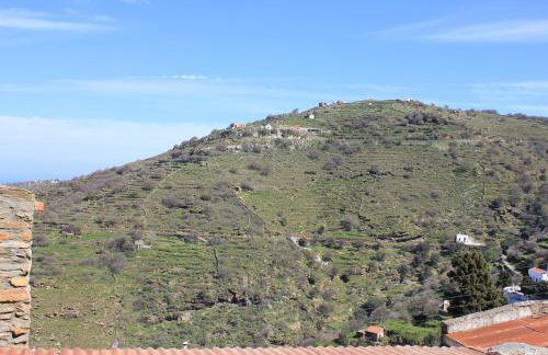 Persephone - Photo 69