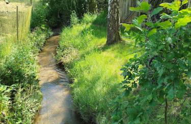 Altes Otto Haus - Foto 68