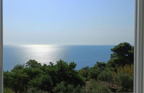 Living Castro Apartments - Foto 52