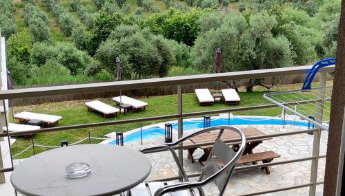 Socrates Organic Village - Wild Olive - Foto 2