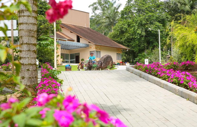 Hotel Fazenda Pommernland - Photo 48