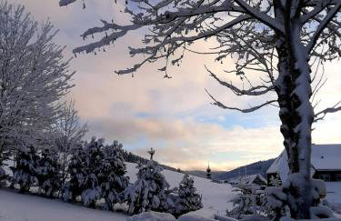 Haus Zum Sternen - Photo 48