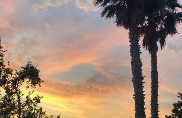 Tenuta Donna Giulia SRLS - Foto 35