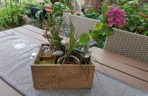 die perfekte Auszeit - Foto 9