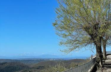 Michelangelo Dolce Vita - Foto 20