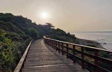 7 Ocean Point - Photo 35