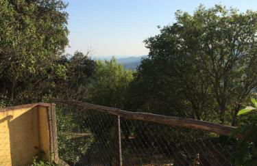 Agriturismo Fontevecchia - Foto 7